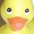 Yellow rubber duck with orange beak and black eyes on light yellow background, surrounded by repeated 'QUACK' text in orange outline font and scattered orange stars.