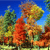 Pixelated static image of a figure in orange clothing standing among trees under a blue sky.