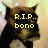 A four- shows a dog's face with changing text overlays; the top-left and top-right display yellow text while the bottom-left shows the dog without text
