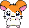 Four pixel-art hamster icons with orange and white fur, pink ears, and large eyes arranged in a on gray background