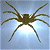 A 50x50 pixel buddy icon split into two sections: a spider on the left and green text on the right, with visible pixelation and dithering effects.