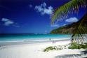 Static beach scene icon with palm tree, turquoise water, white sand, and blue sky with clouds.