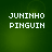 Green background with white pixelated text reading JUNINHO PINGUIN in four identical quadrants.