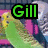 Animated image of two green parrots in a cage with text changing across frames.