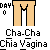 Pixelated icon shows beige pillars with a green shape between them, text below reads "Cha-Cha Chia Vagina" on gray background.