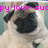 Pixelated image of a pug dog with black facial mask and ears, light tan body, and pink text overlay reading 'py love suc' on a blurred background.
