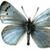 Pixelated butterfly with light blue and gray wings, black body, and two antennae, set against a white background.