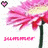 Pixelated pink flower with red center and green stem, heart icon above, 'JULYFRIDAY' text below on white background.