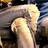 A four- with a pixelated image of legs in jeans on the top-left, pink backgrounds with white text on top-right and bottom-left, and a gray background on bottom-right