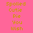 Pixelated text 'Spoiled Cutie Pie You Wish' displayed in four distinct color combinations across a