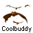 Animated contact sheet of 10 bird-like mascot frames with brown and orange color scheme, each labeled "Coolbuddy" below the icon.