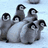Animated icon shows penguin chicks huddling on snow with text "Cute and Cuddly Boys," then changing to "Cute and Cuddly!" on a teal background.