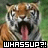 A tiger's face with open mouth and tongue, displaying 'WHASSUP?!' text in pixelated font below.