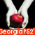 Two white hands hold a red apple against a black background, with orange text reading "Georgia P52'52's Twilight" and "light club!" across the image.
