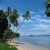 Pixelated beach scene with palm trees, blue sky, and ocean; animated text changes from 'WAITING' to 'FOR SUMMER'.