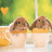Two brown rabbits in white cups with orange tops sit on a surface, one rabbit's head moves slightly left to right across frames.