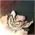 Pixelated static image of a figure with light-colored hair and clothing against a gradient background transitioning from brown to dark green.