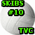 Pixelated green text on black backgrounds reads SKIBS, #10, and TVC over a gray circular backdrop with visible pixelation.