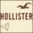 Pixelated icon with brown text 'HOLLISTER' centered on light beige background, two stylized bird shapes above and below the text.