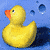 A 2x2 contact sheet of four animated frames showing a yellow rubber duck in different poses and backgrounds with text "Ducks!" and a heart symbol.