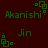 Green pixelated text and symbols on dark red background, alternating between 'Akanishi' and 'Jin' with green square patterns above each text block.