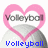 A pink heart-shaped frame overlays a gray volleyball with text variations below it.