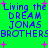 Green background with purple text reading "Living the DREAM JONAS BROTHERS" and pink plus signs, repeated in two with slight pixel variations between observations
