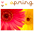 four and five showing repeated red gerbera daisies with yellow centers, bordered by gray bands containing 'spring' text in pixelated fonts
