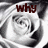 Pixelated grayscale image of a person's face with the word 'why' in dark red text above it, set against a swirling background pattern.