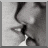 A 2x2 contact sheet of a four-frame animated icon showing a kissing couple, text panels, and a star symbol across frames.