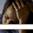 A 5x5 contact sheet of a pixelated animated icon showing repeated frames of a person with hands covering their face, accompanied by progressively truncated text reading "i'm every thing i hate" across the bottom.