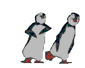 Two cartoon penguins in various walking and interacting poses with gray bodies, black wings, red feet, and orange beaks on white backgrounds.