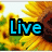 Sunflower background with blue text 'Live Laugh' and green text 'Love' in a
