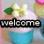 Animated sequence showing a cupcake with pink frosting and a yellow bow, transitioning from 'welcome' text to 'to' text to 'cupcake Club!' text.