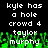 Pixelated text and green pixel art on black background with repeated phrases 'kyle has a hole' and 'crowd 4', plus 'taylor murphy' in white.