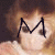 A monkey's face with changing letters over its eyes in a of six , each showing different letter shapes and colors