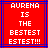 Red background with blue lines and white pixelated text reading 'AURENA IS THE BESTEST ESTEST!!!' in two identical