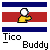 Pixelated icon shows a yellow figure with a white circular head against a red and blue striped background, with text below reading "Tico Buddy".