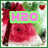 A watermelon slice with green rind and red flesh, featuring a pink text overlay that changes from 'H2O' to 'melon'.