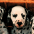Animated contact sheet showing a dog-like character with black spots and white face in two frames, alongside a blue background with diagonal text reading 'CoolBuddy.com' on the right side.