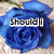 Six blue roses on a textured beige background with overlaid text phrases in white block letters.