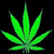 Animated green cannabis leaf on black background with circular button featuring Rastafarian colors and 'Legalize It' text.