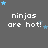 Pixelated text 'ninjas are hot!' appears with blue stars on a gray background, animated in repeating patterns