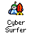 badassbuddy_com-cybersurfer