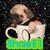 A small dog sits inside a white cup with black handles, positioned against a dark speckled background, with blue text reading "ShaeE1" on a green banner below.