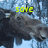 Animated sequence showing moose heads with text 'save the mooses!!' in yellow pixelated font over a blue background.