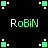 Pixelated green and white icon with 'RoBiN' text in alternating color patterns