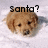 A dog's head appears in four with text reading 'Santa?', 'Where', and 'are you?' over a white background