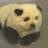 Pixelated panda head on gray background with orange and partial text 'ove pand' below