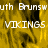 Yellow and black pixelated background with white text reading "South Brunswick" and "VIKINGS" in multiple positions.